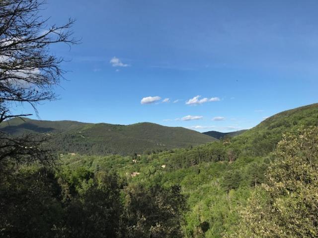 סן-ז'אן-דו-גאר Suite Bambou Bien-Etre A Bali - Le Soleil Des Cevennes מראה חיצוני תמונה